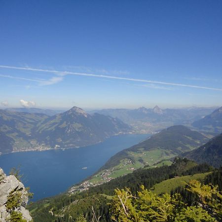 Hotel Vitznauerhof - Lifestyle Hideaway At Lake Lucerne Kültér fotó